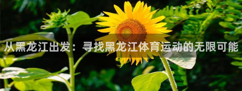 火凤体育赛事直播