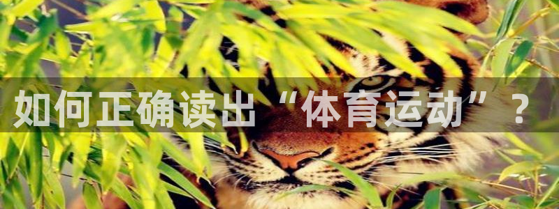 火凤体育直播高清入口：如何正确读出“体育运动”？