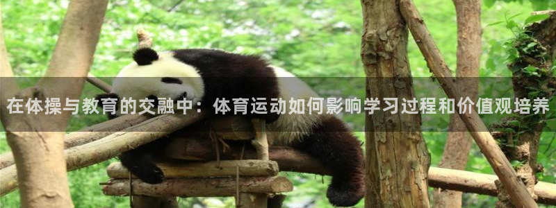 火凤体育nba直播