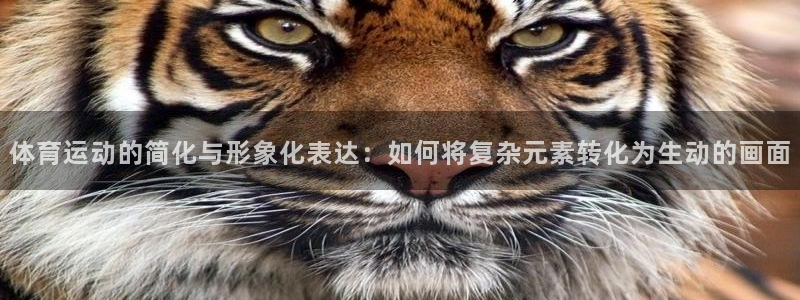 火凤体育直播高清入口