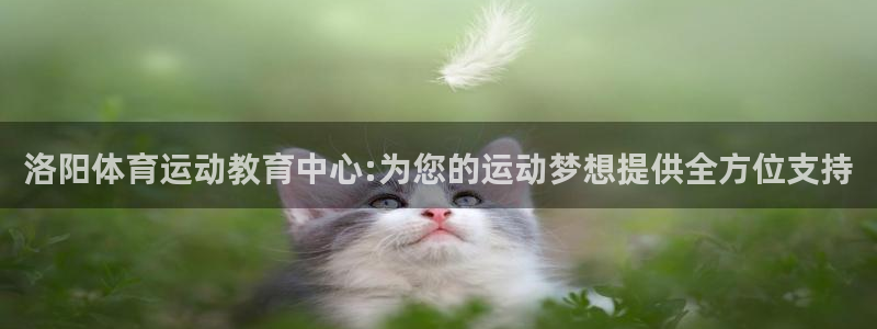 火凤体育NBA：洛阳体育运动教育中心:为您的运动梦想提供全方位支持