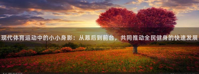火凤体育直播高清入口