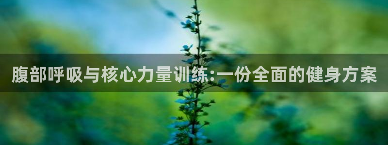 火凤体育app