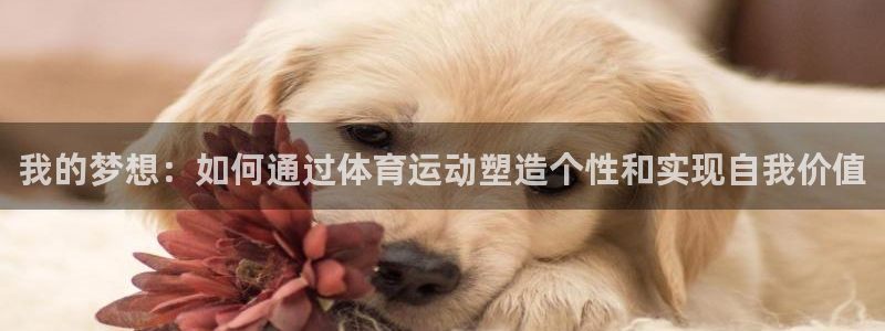 火凤体育直播高清入口