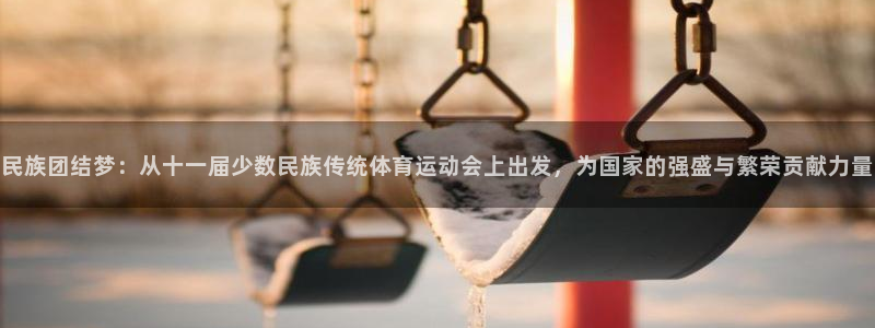 火凤体育nba直播：民族团结梦：从十一届少数民族传统体育运动会上出发，为国家的强盛与繁荣贡献力量