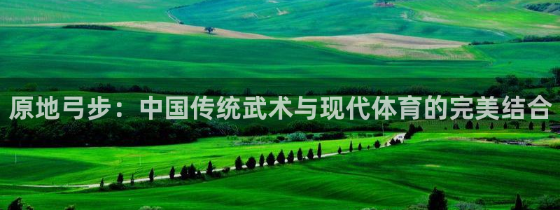 火凤体育：原地弓步：中国传统武术与现代体育的完美结合